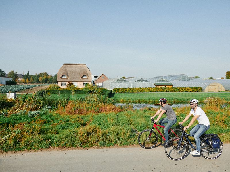 Zwei Radfahrer fahren entlang von Gemüsefeldern und Gewächshäusern