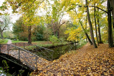 Eine kleine Brücke überquert einen Bach in einem herbstlichen Stadtpark. Bunte Blätter bedecken den Boden, während Bäume in herbstlichen Farben leuchten.