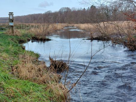 Ein ruhiger Fluss schlängelt sich durch eine winterliche Landschaft. Karge Bäume und braunes Gras säumen das Ufer.