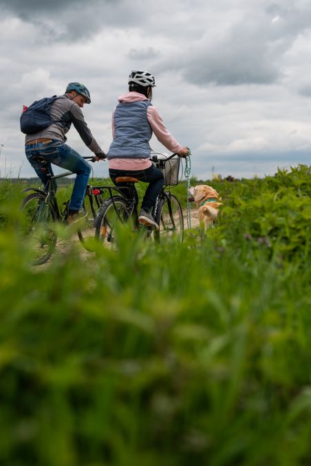 Radtour mit Hund 