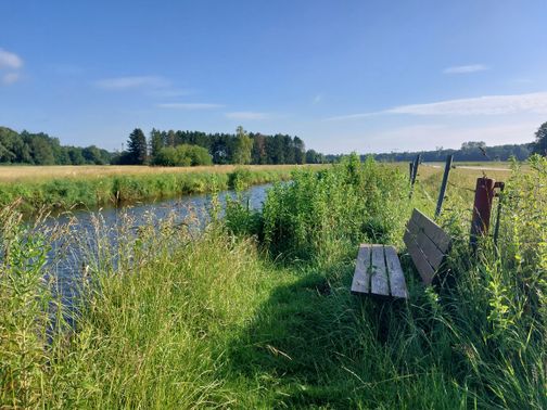 Holzbank am Flussufer, umgeben von grünen Gräsern und Bäumen, unter einem klaren blauen Himmel. Ein idyllischer Ort zum Verweilen in der Natur.