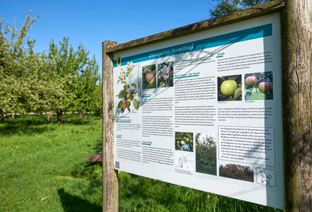 Schild zum Obstgarten Haseldorf in einer sonnigen Obstwiese mit blühenden Bäumen und blauem Himmel.
