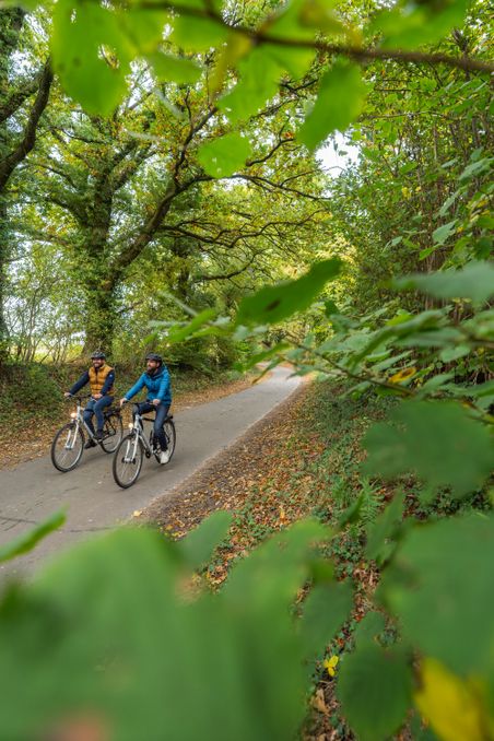 Zwei Radfahrer fahren auf einem schmalen, von Bäumen gesäumten Weg. Die herbstliche Landschaft ist von grünen Blättern und fallendem Laub geprägt.