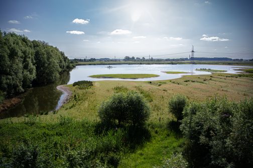 Panoramablick vom Schanzenturm Hetlingen auf die Flusslandschaft mit Inseln, Bäumen und Strommasten unter hellem Himmel.