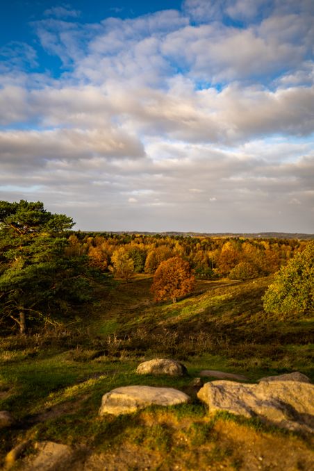 Herbstliche Landschaft im Naturpark Aukrug mit bunten Bäumen, grünem Gras und einem blauen Himmel mit Wolken.