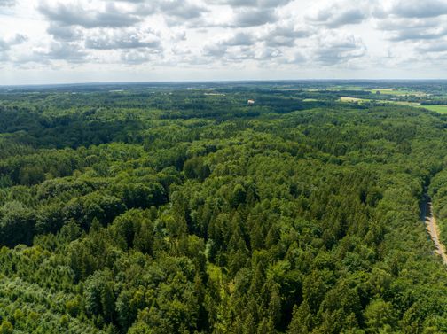 Luftaufnahme des Naturparks Aukrug mit einem schmalen Weg am rechten Bildrand. Der Himmel ist bewölkt, und die Landschaft erstreckt sich bis zum Horizont.