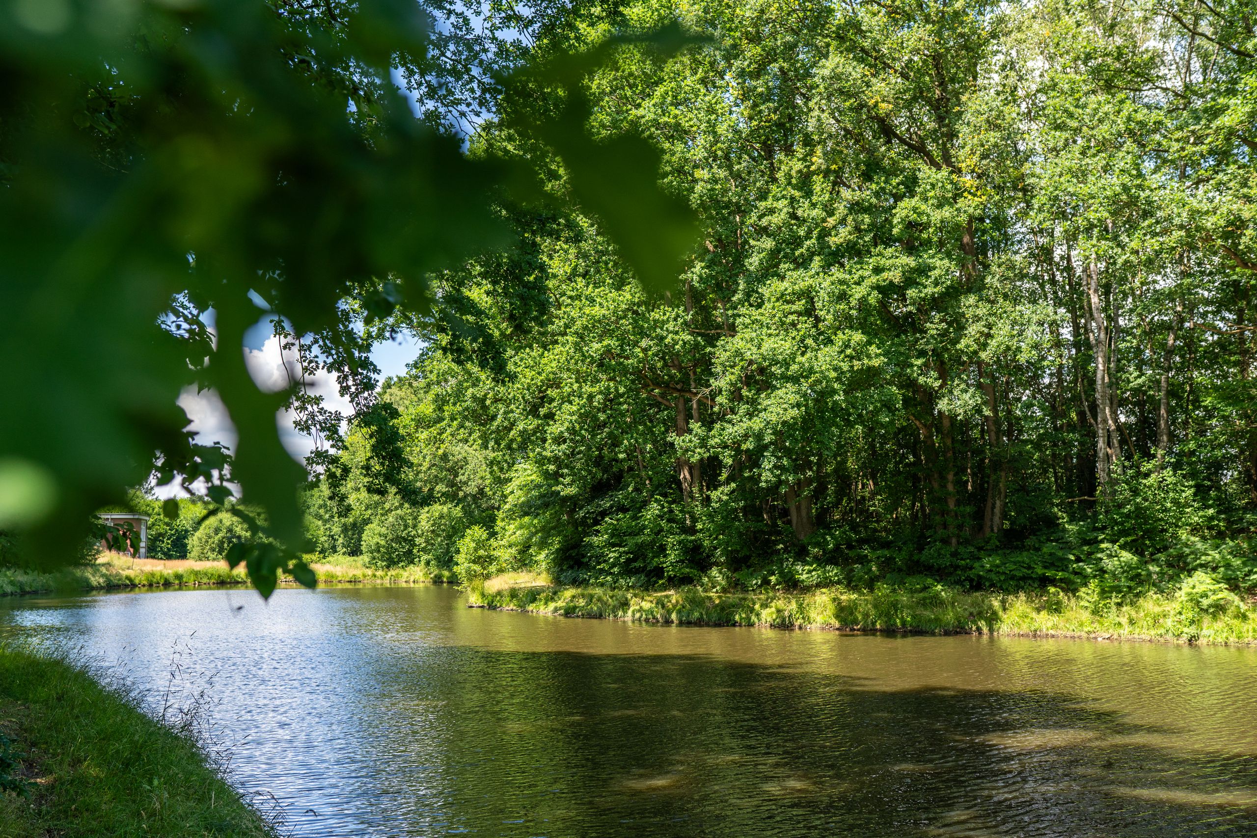 Ein See umgeben von Natur