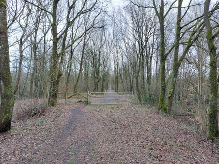 Ein ruhiger Waldweg im Winter mit kahlen Bäumen und einem geschlossenen Metalltor. Der Boden ist mit Laub bedeckt.