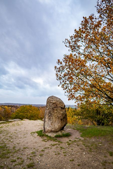 Im Naturpark Aukrug steht ein großer Findling auf einem Hügel, umgeben von herbstlichen Bäumen und weitem Blick über die Landschaft.