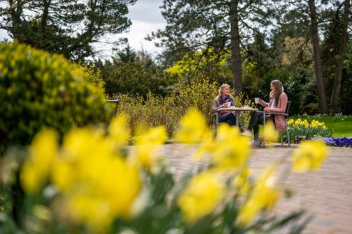 Zwei Freundinnen genießen leckeren Kaffee und Kuchen inmitten eines frühlingshaften Blütenmeers im Arboretum Ellerhoop.