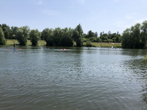 Der Baggersee Appen-Etz mit mehreren Personen beim Stand-Up-Paddling. Im Hintergrund sind Bäume und eine Wiese zu sehen.