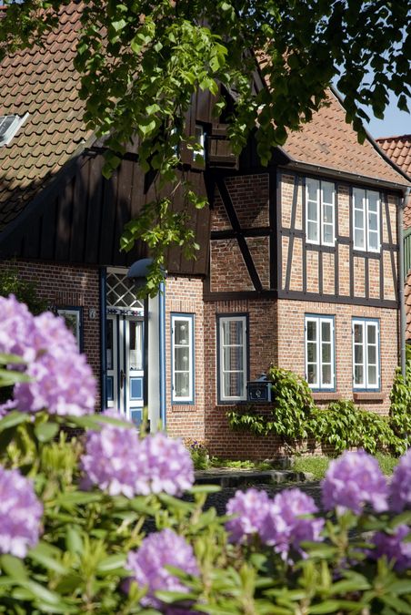 Ein charmantes Fachwerkhaus mit blauen Fensterrahmen, umgeben von blühenden Rhododendron und grünen Blättern im Vordergrund.