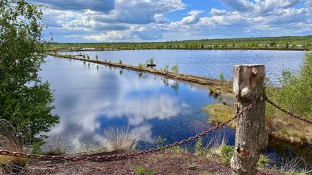 Ein idyllisches Moorgebiet mit Wasserflächen, umgeben von Bäumen und einem bewölkten Himmel. Ein Holzpfosten mit Kette im Vordergrund.