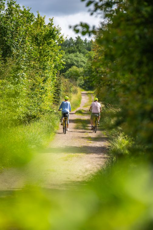 Zwei Radfahrer mit Helmen fahren auf einem schmalen, von Bäumen gesäumten Weg durch eine grüne Landschaft.