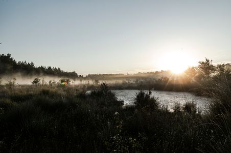 Ein nebliges Moor bei Sonnenaufgang, mit einer Wasserfläche und Bäumen im Hintergrund. Die Sonne strahlt über die Landschaft.