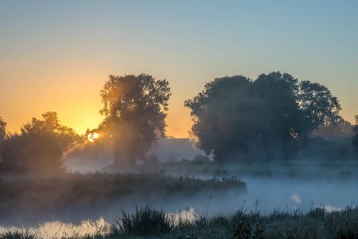 Sonnenaufgang an der Wilsterau in Nebel gehüllt.