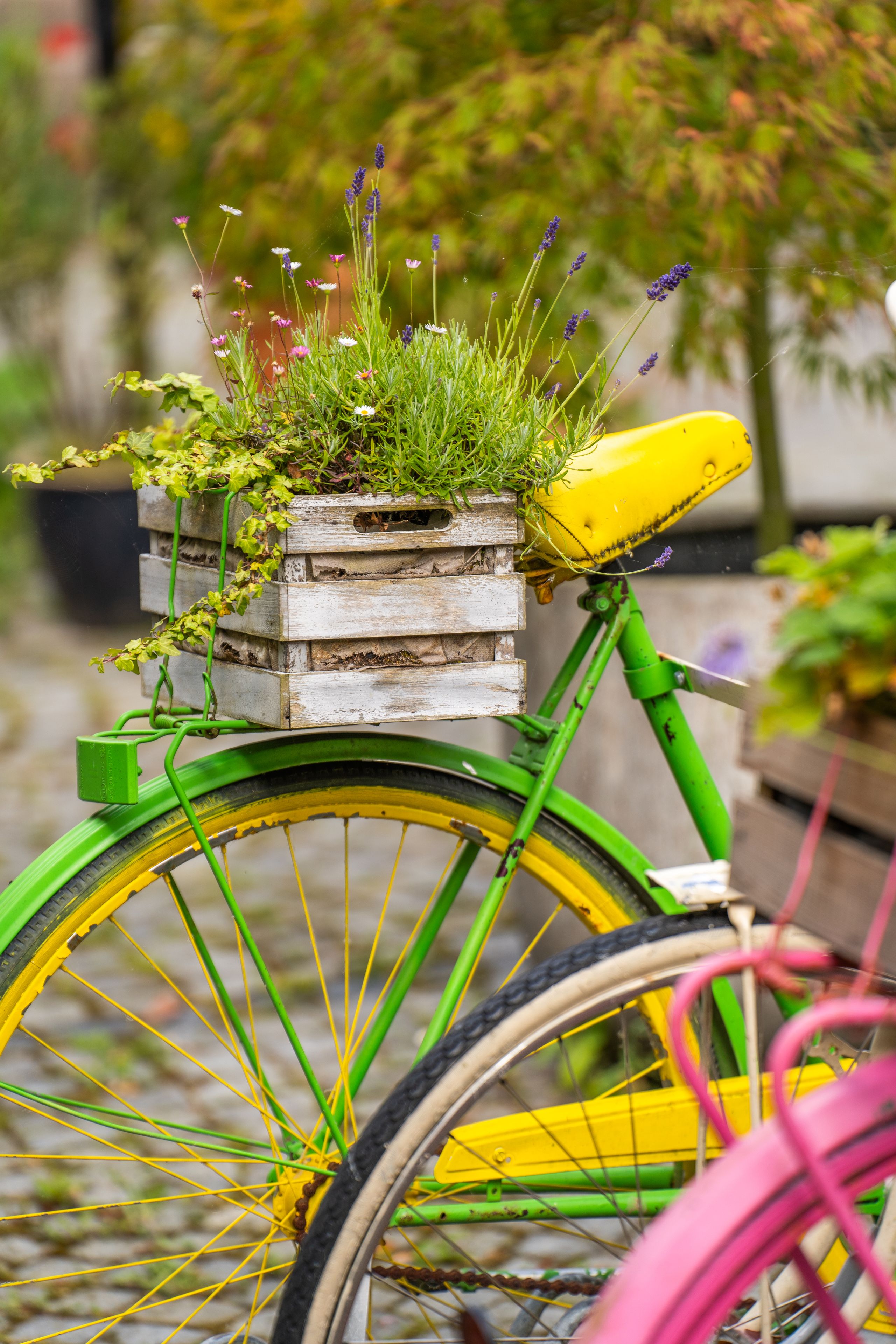 Ein grünes Fahrrad mit gelbem Sattel und Felgen trägt einen Blumenkasten auf dem Gepäckträger. Im Hintergrund sind verschwommene Pflanzen zu sehen.