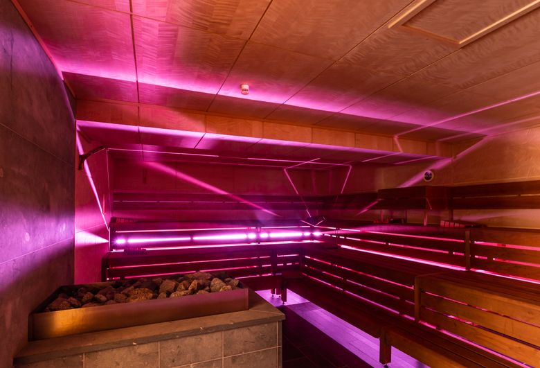 Eine moderne Sauna mit pinker Beleuchtung und Holzbänken. Der Raum wirkt einladend und entspannend.
