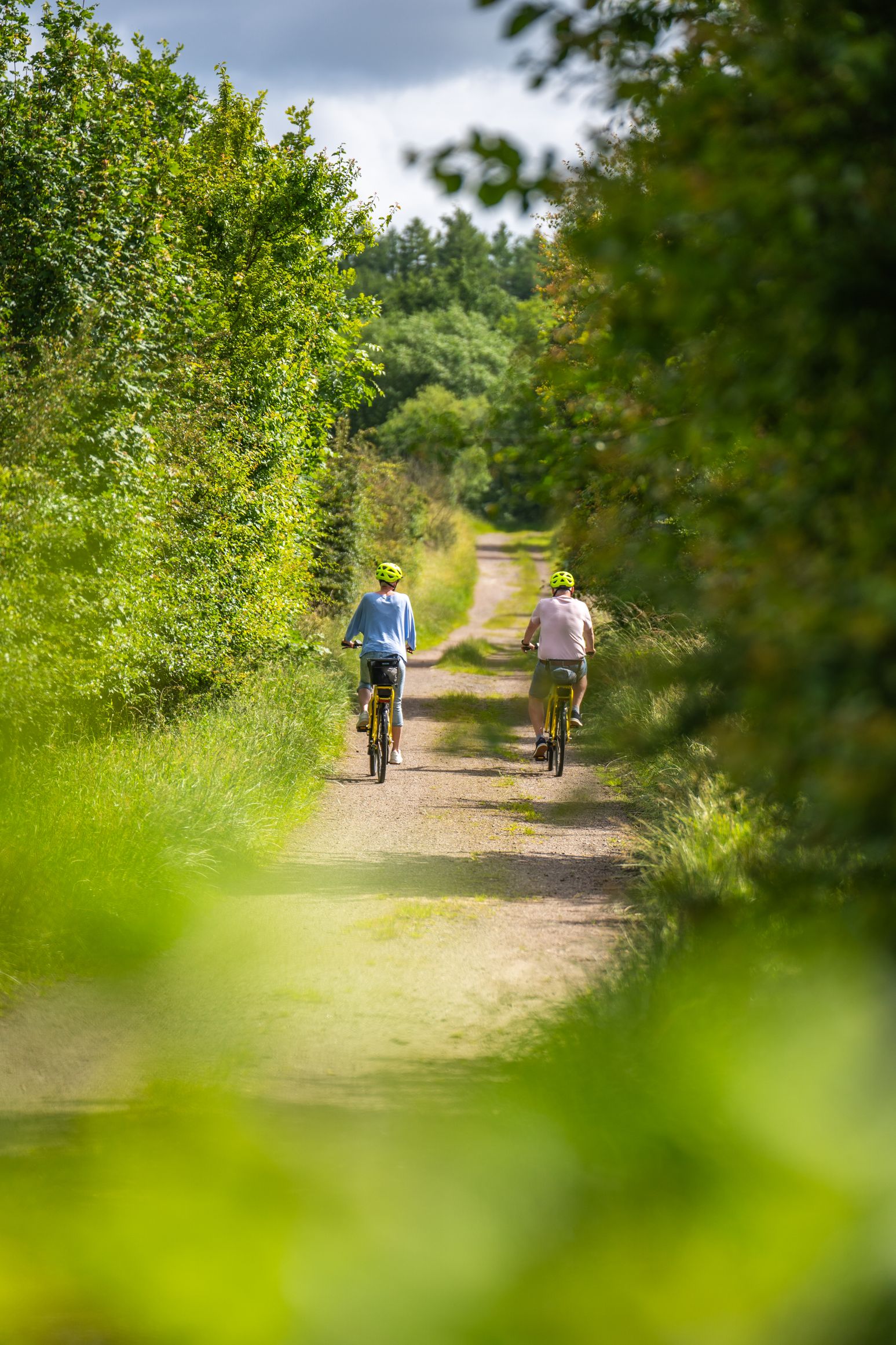 Zwei Radfahrer mit Helmen fahren auf einem schmalen, von Bäumen gesäumten Weg durch eine grüne Landschaft.