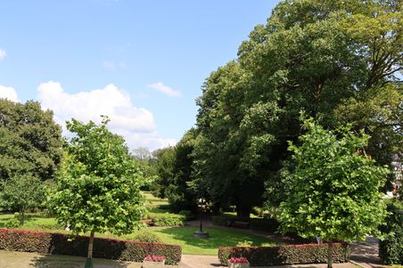 Ein grüner Park mit Bäumen, Hecken und einem zentralen Weg. Der Himmel ist klar und blau, ideal für einen Spaziergang.