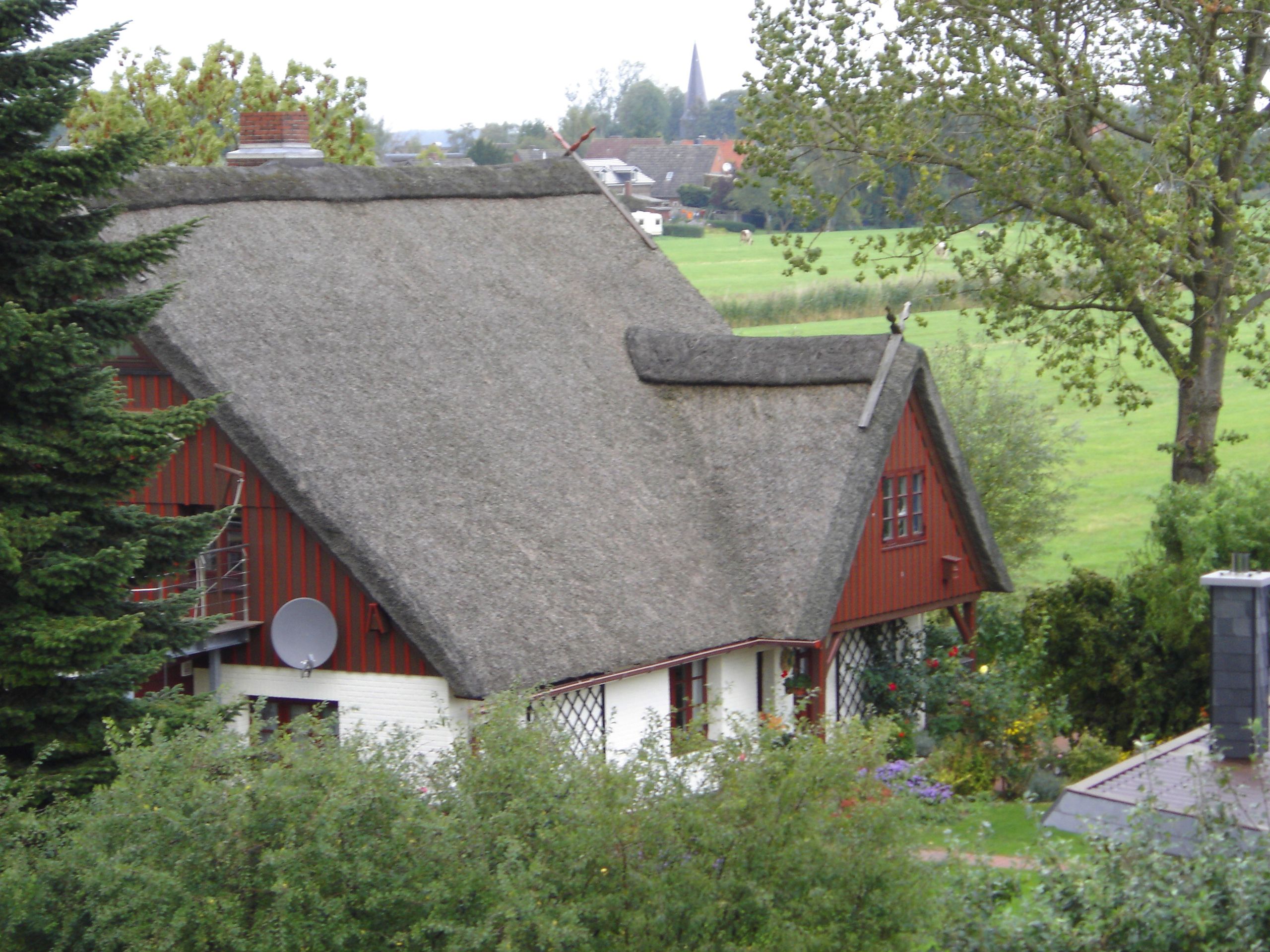 Ein traditionelles Reetdachhaus mit roter Holzverkleidung, umgeben von Bäumen und Wiesen. Im Hintergrund sind weitere Gebäude und ein Kirchturm zu sehen.