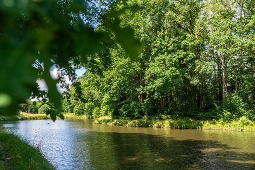 Ein See umgeben von Natur