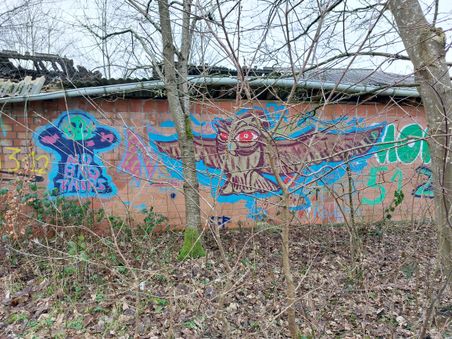 Bunte Graffiti auf einer Backsteinmauer, darunter eine Eule und ein grünes Gesicht. Die Mauer ist von kahlen Bäumen umgeben.