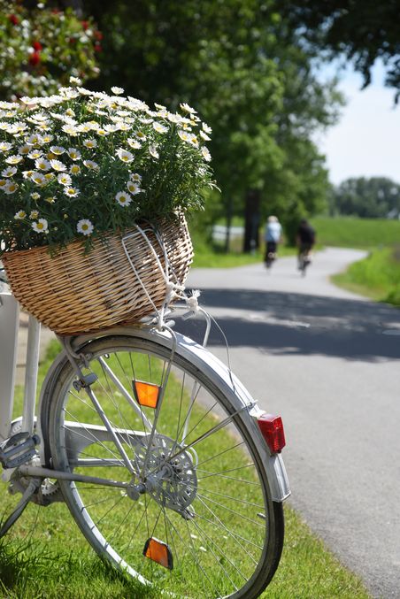 Ein Fahrrad mit einem Korb voller Gänseblümchen steht am Straßenrand. Im Hintergrund fahren zwei Radfahrer auf einem sonnigen Weg.