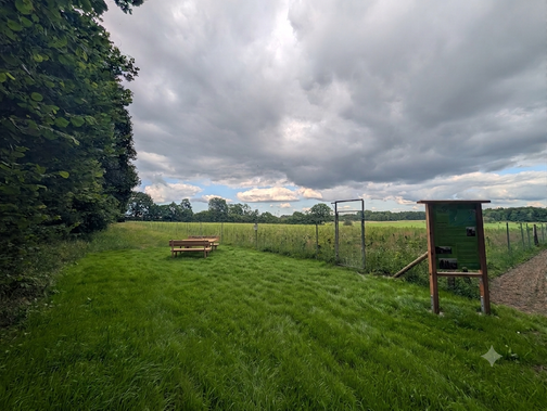 Trekkingplatz Wildes SH im Klimawald Willenscharen mit Infotafel