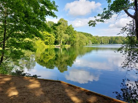 Ein idyllischer See mit spiegelglattem Wasser, umgeben von üppigem Grün und einer kleinen Plattform am Ufer.