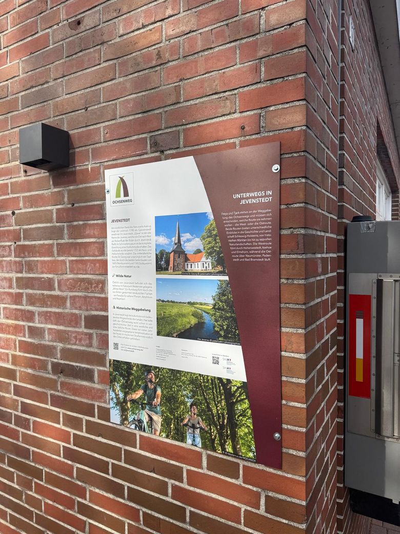 Ein Informationsschild an einer Backsteinwand in Jevenstedt beschreibt den Ochsenweg und lokale Sehenswürdigkeiten. Es zeigt Bilder von Natur und Radfahrern.
