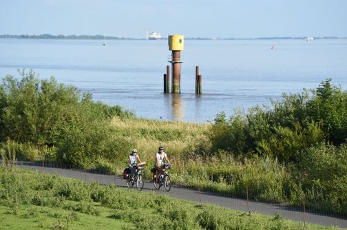 Ein Paar ist im Sommer mit dem Fahrrad entlang der Elbe unterwegs.