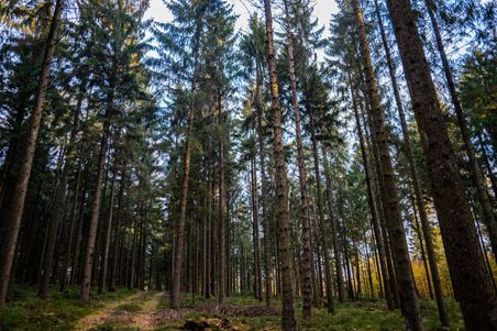 Naturpark Aukrug