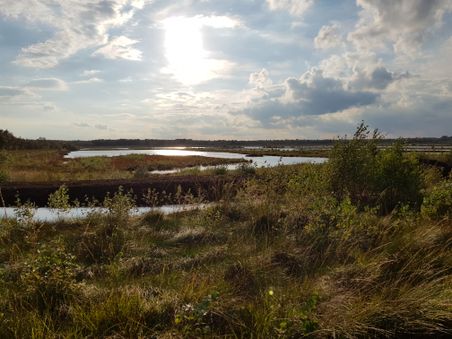 Sonnige Moorlandschaft mit Wasserflächen und Gras im Vordergrund. Der Himmel ist teils bewölkt, die Sonne spiegelt sich im Wasser.