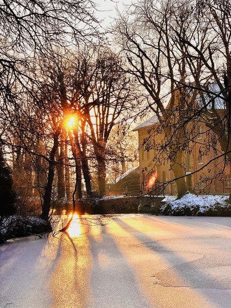 Ein gefrorener Teich im Winter, umgeben von kahlen Bäumen. Die Sonne scheint durch die Äste und wirft lange Schatten auf das Eis. Ein Gebäude ist im Hintergrund sichtbar.