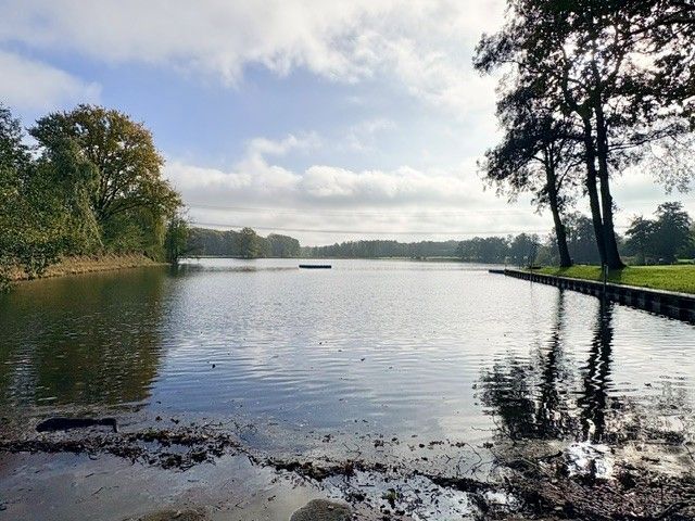 Naturbad Oberglinde ist ein ruhiger Badesee mit Uferbäumen, spiegelndem Wasser und weitem Himmel.