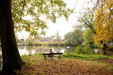 Eine Person sitzt auf einer Bank am See im Stadtpark, umgeben von herbstlichen Bäumen und Laub. Die Sonne scheint durch die Blätter.