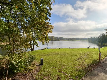 Naturbad Oberglinde: ruhige Liegewiese am See mit Bäumen, Badesteg und weitem Himmel.