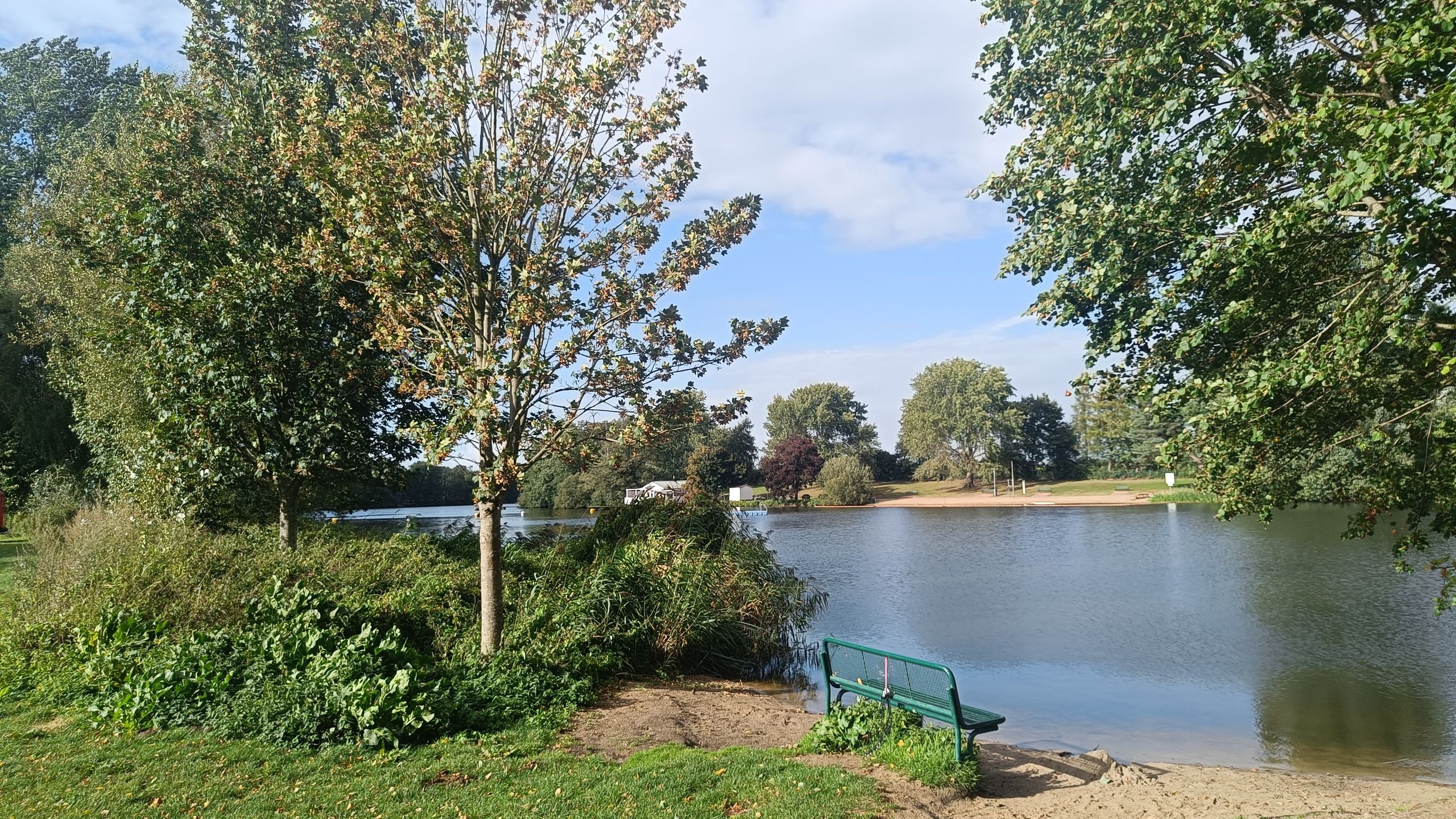 Ein idyllischer See mit grünen Bäumen und einer Bank am Ufer. Der Himmel ist blau mit einigen Wolken, die Umgebung wirkt friedlich und einladend.