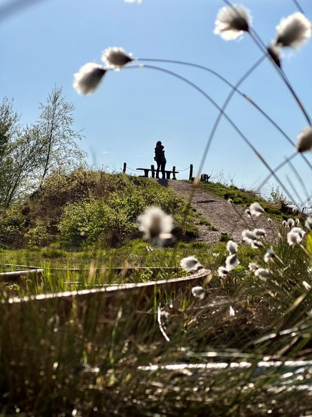 Zwei Personen stehen auf einem Hügel im Himmelmoor. Im Vordergrund sind Pflanzen und ein klarer blauer Himmel zu sehen.