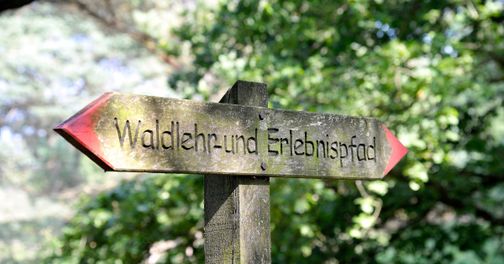 Holzwegweiser im Wald mit der Aufschrift „Waldlehr- und Erlebnispfad“.