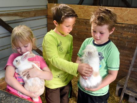Drei Kinder im Stall halten und streicheln weiße Kaninchen.